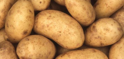 Ziemniaki – czy są tuczące? Obalamy mity!